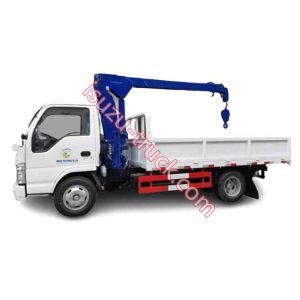 telescopic crane truck which ordered by congo shows on isuzu-truck.com